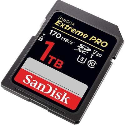 SanDisk SDSDXXY-1T00-GN4IN Extreme Pro UHS-I SDXC Memory Card, 1TB, 170MBS/V30