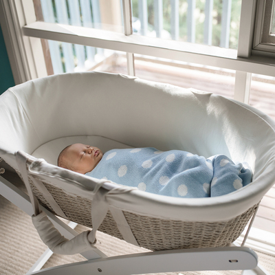 moses basket afterpay