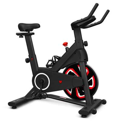 SM-120 Spin Bike with Automatic Magnetic Resistance Home Exercise