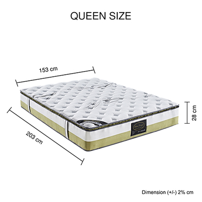 Memory Pillowtop Mattress Queen