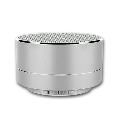 Portable Bluetooth Speaker (Silver)