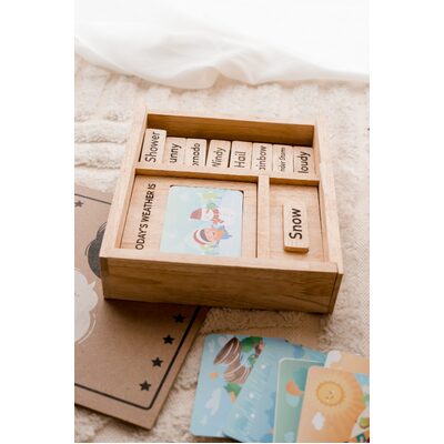 Weather Play Set