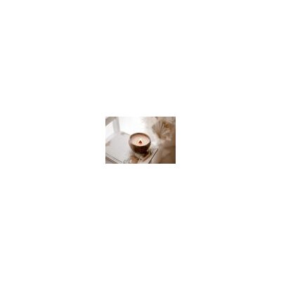 Coco Scented Candle- Timber Wick- Vanilla Beans