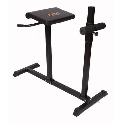 Roman Hyper Extension Bench Chair Exercise Fitness Workout Core Abdominal