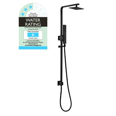 BLACK 2-in-1 Massage Hand Shower & Head Tap Bathroom Mixer