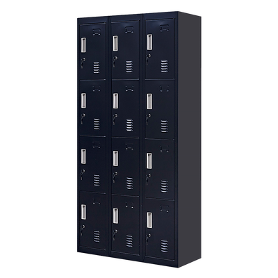 Standard locks 12 Door Locker for Office Gym - Black 