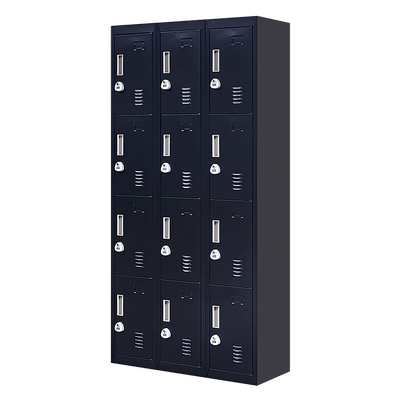 12 Door Locker for Office Gym - Black 