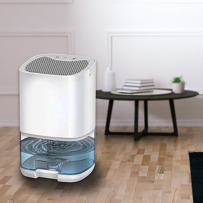 Mini-Dry: Portable Office Dehumidifier