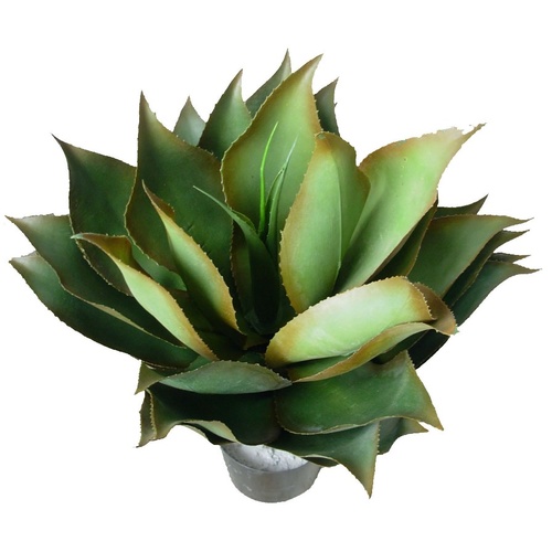 UV Resistant Agave Plant 60cm
