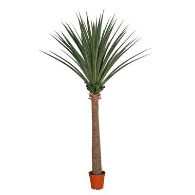 Large Artificial Dracaena (Yucca) 260cm