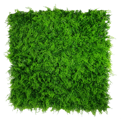Mediterranean Fern Vertical Garden Uv Stabilised 1M X 1M