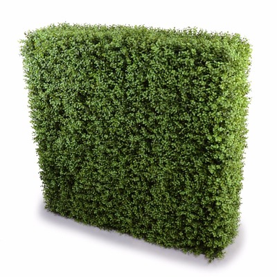 Portable Buxus Hedges Uv Stabilised 100Cm Long X 100Cm High