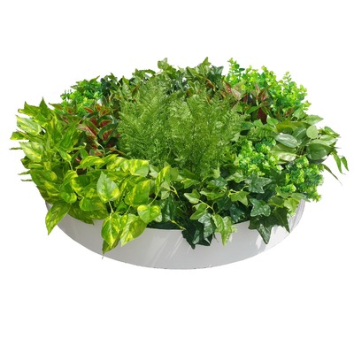 Artificial Green Wall Disc Art 80Cm Mixed Fern (Fresh White)