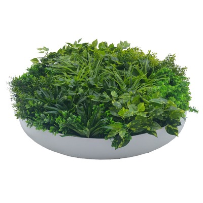 Artificial Green Wall Disc Art 100Cm Dark Aloe Vera (Fresh White)
