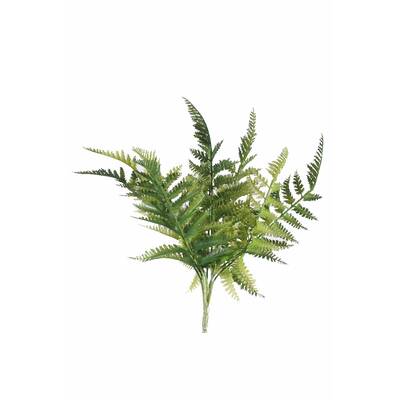 Dryopteris Fern Stem 30cm