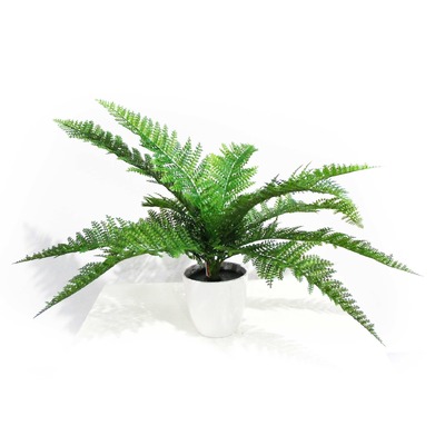 Dense Fern Stem 45Cm