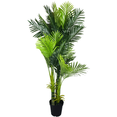 Multi Trunk Hawaii Palm 180Cm