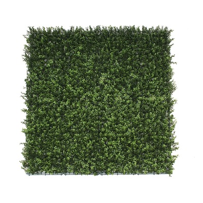 Premium Natural Buxus Hedge Panels Uv Resistant 1M X 1M