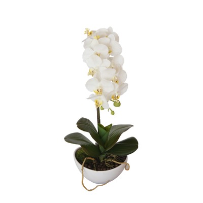 46Cm Butterfly Orchid - White