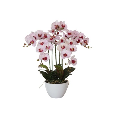 66Cm Multi Butterfly Orchid - Pink