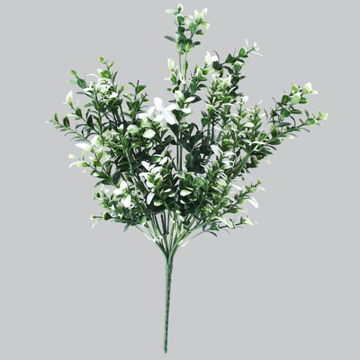 White Tipped Money Leaf Stem 32 Cm