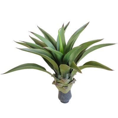 Uv Agave 50Cm No Pot