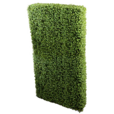 Portable Buxus Hedge Uv Resistant 100Cm Long X 200Cm High