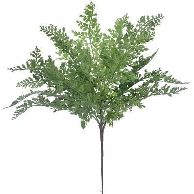 Maden Hair Fern Stem 40Cm