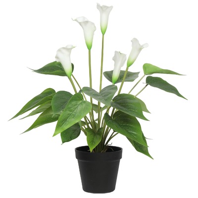 Artificial Flowering White Peace / Calla Plant 50Cm