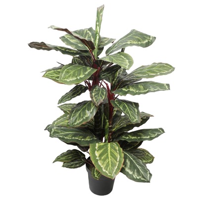 Artificial Wide Leaf Cordyline Plant 90Cm