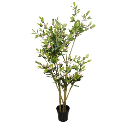 Flowering Pink Magnolia Tree With Pot 250Cm