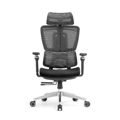 High Back Ergonomic Mesh Office Chair Gas Lift Storage Fabric