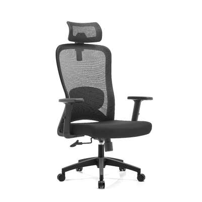 High Back Ergomonic Mesh Office Chair Gas Lift Storage Fabric