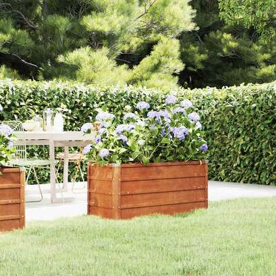 Corten Steel Raised Garden Bed 100x40x45cm | EXTG