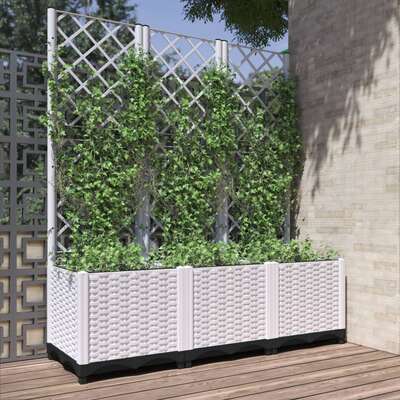 Garden Planter Trellis Climbing Plants Outdoor | EXTG