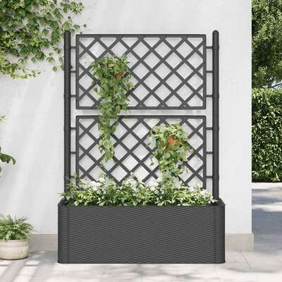 Garden Raised Bed with Trellis and Self Watering System