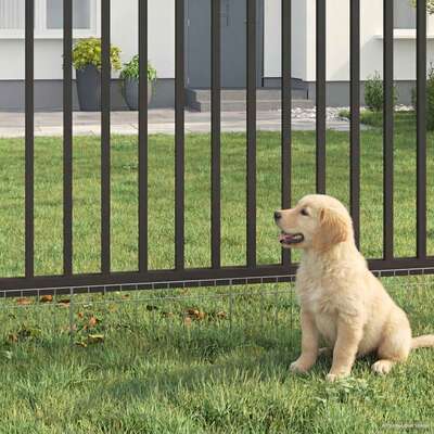 Galvanised Steel Fence Panels 12pcs Silver | EXTG