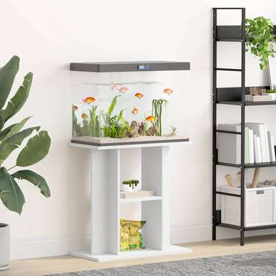 Aquarium Stand White 60cm Engineered Wood | EXTG
