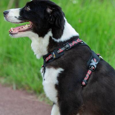 Lightweight 3M reflective Harness Black [Size: S]